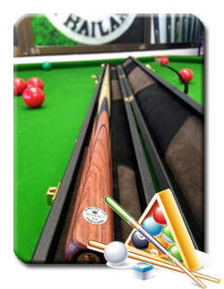 Snooker Case